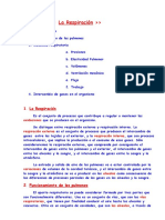 14 - La Respiración - Apuntes de Física de Enfermería