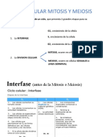 Resumen Meiosis