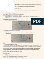 NeuroFisio Aula 8 - Reflexos