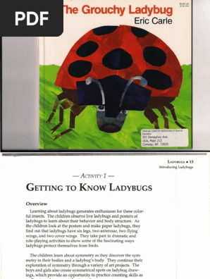 Ladybugs
