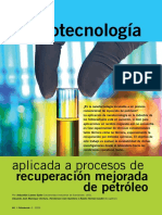 Nanoparticulas para La Recuperacion de Petroleo