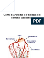 Cenni Di Anatomia e Fisiologia Del Distretto Corona Rico