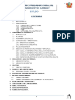 Estudio Topografico Camino Vecinal