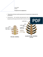 Reproduksi Gymnospermae Dan Angiospermae