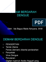 DBD Demam Berdarah Dengue