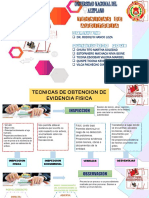 Trabajo Grupal - Tecnicas de Auditoria