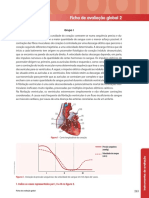 Cientic 9 - Ficha de Avaliação Global 2