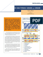 6536 Diferenciando Bacterias Gran y Gram