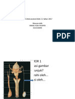 Soal Inhal Anatomi Blok 2