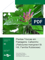 COT 85 Plantas Toxicas Cafezinho