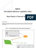 Normalized Difference Vegetation Index Band Ratios in Remote Sensing