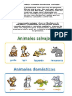 Animales Domesticos y Salvajes