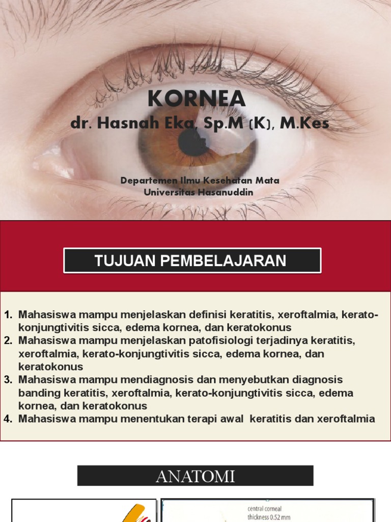 Kornea | PDF