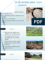 Preparación de Terreno Para-Frejol Panamito