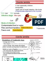 Giardia Lamblia: The Cyst