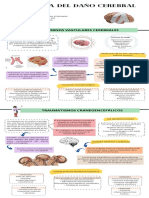 Etiología Del Daño Cerebral