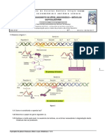 071 Ficha de Revisc3b5es1