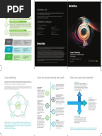 What Is Smart Identity?: Deloitte Lab