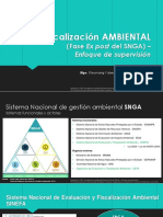 FISCALIZACIóN AMBIENTAL (Fase Ex Post Del Snga)