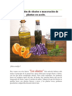 Elaboración de Oleatos o Maceración de Plantas en Aceite