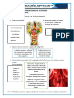 TAREA DE CIENCIA TECNOLOGIA LA NUTRICION Y LA CIRCULACION 