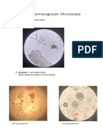 Pharmacognosie Microscopie Synthèse