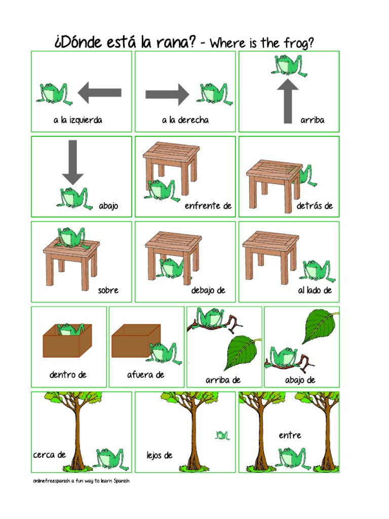 Donde Esta La Rana PDF