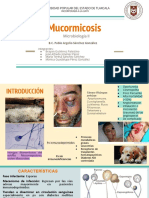 Micosis Diapos