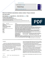 Burnout in Medical Students Before Residency A Systematic Review and Meta Analysis - En.id