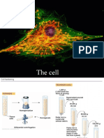 Techno-1.1-The Cell