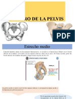 Centros de La Pelvis