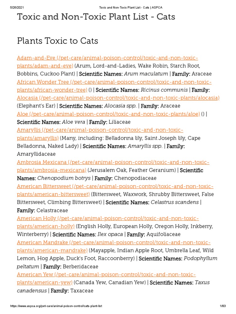Toxic and NonToxic Plant List Cats ASPCA PDF Garden Plants
