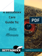 Bettaboxx Betta Illness Guide