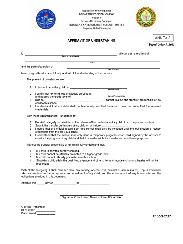 Annex 3 Affidavit of Undertaking DO 3 2018 | PDF | Credential | Common Law