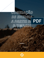 1599228121ebook Conhea A Cogerao de Energia A Partir Da Biomassa