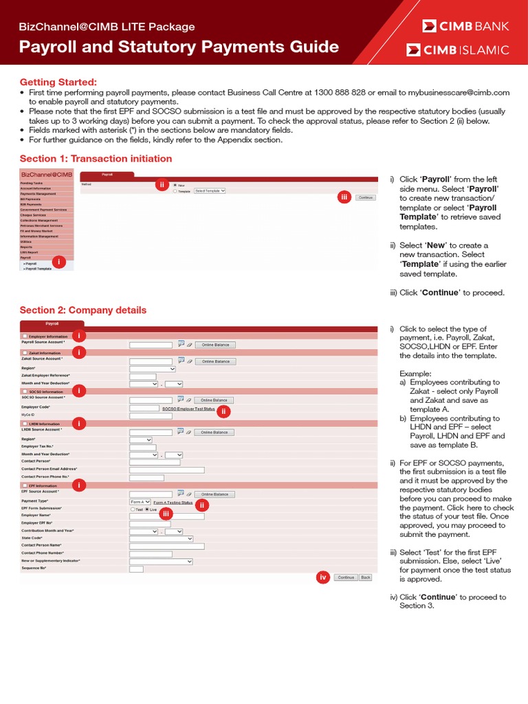 Payment-Bulk-Payroll & Stat Payment Guide-LITE | PDF | Payroll | Salary