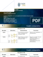 Cuadro Comparativo - E1