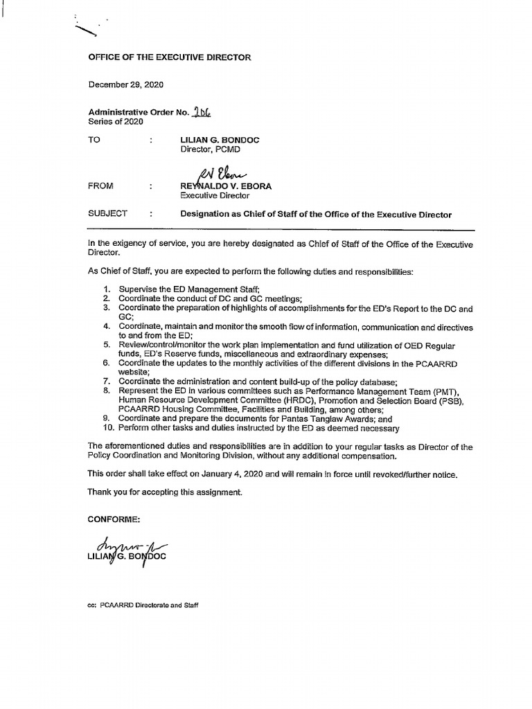 Designation As Chief of Staff of The Office of The Executive Director | PDF