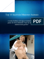 Top 10 Incríveis Menores Animais