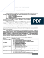 Structura Organizatiei PDF Free