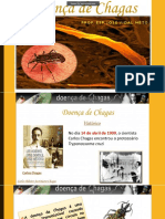 Aula 06 (Doença de Chagas)
