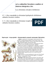 Tema 6 Daunator Defoloiatori Ai Culturilor Forestiere Conifere Si Combaterea Integrata a Lor (Incopmpleta)