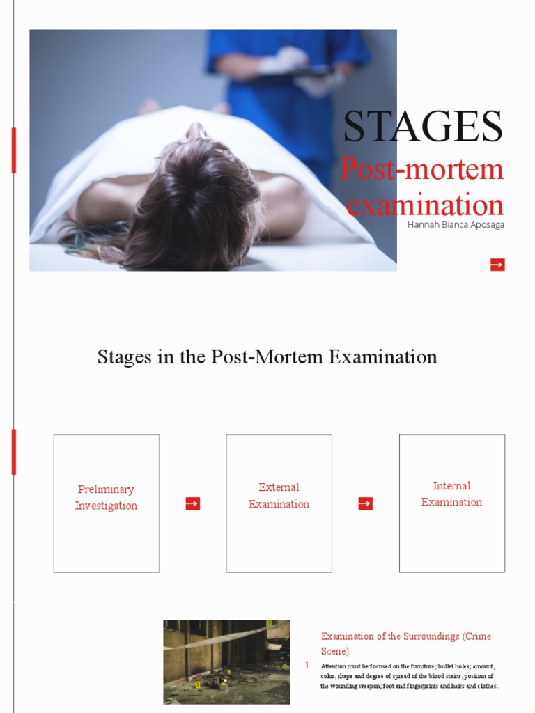 Post-Mortem Examination Stages Explained | PDF | Abdomen | Anatomy