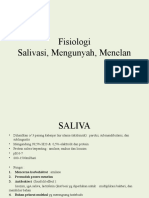 Fisiologi Saliva, Mengunyah, Menelan