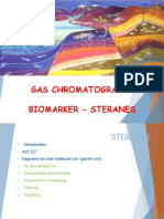 Organic Geochem - 06 Biomarker-Steranes