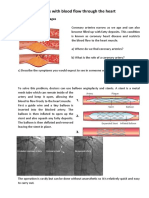 Problems With Blood Flow Through The Heart