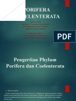 Filum Porifera Dan Coelenterata