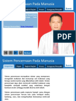 Sistem Pencernaan Pada Manusia Ppt