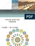 PIPELINE INSPECTOR STANDARDS OVERVIEW