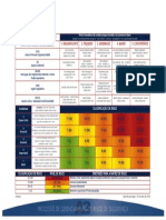 Matriz de Risco IRM Anglo